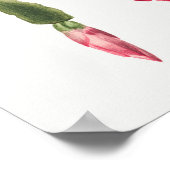 ヴィンテージ多血イラストレーションポスター ポスター (角)