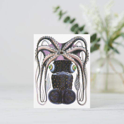 ヴィンテージ大型タコ又はイカ、海洋生物 ポストカード (スタンド正面)