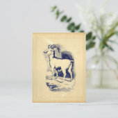 ヴィンテージ大角羊 ポストカード (スタンド正面)