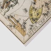 ヴィンテージ天体図 薄葉紙 (詳細)
