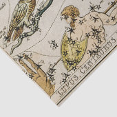 ヴィンテージ天体図 薄葉紙 (詳細)