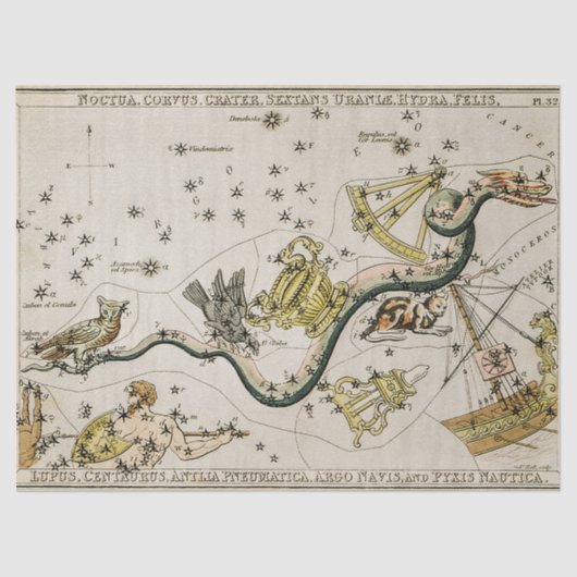 ヴィンテージ天体図 薄葉紙 (正面)