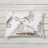 ヴィンテージ天文図 アウトドアクッション (正面)