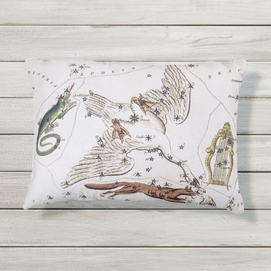 ヴィンテージ天文図 アウトドアクッション (裏面)