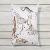 ヴィンテージ天文図 アウトドアクッション (正面(縦))