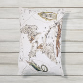 ヴィンテージ天文図 アウトドアクッション (裏面(縦))