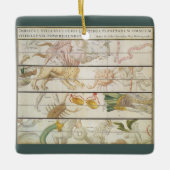 ヴィンテージ天文学ジョン・セラー セラミックオーナメント (正面)