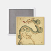 ヴィンテージ天文学プリントドラコ&ウルサマイナー マグネット (正面/裏面)