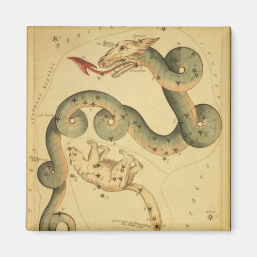 ヴィンテージ天文学プリントドラコ&ウルサマイナー マグネット (正面)