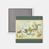 ヴィンテージ天文学、へいど蛇コンステレーションスター マグネット (正面/裏面)