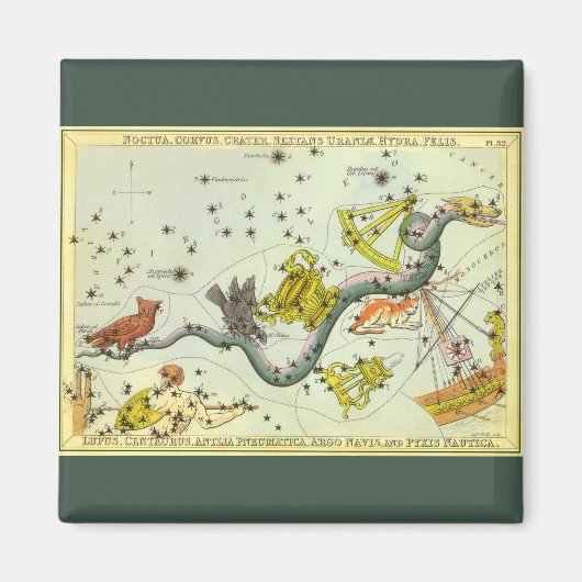 ヴィンテージ天文学、へいど蛇コンステレーションスター マグネット (正面)