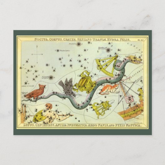 ヴィンテージ天文学、ヒドラヘビ星座星座 ポストカード (正面)