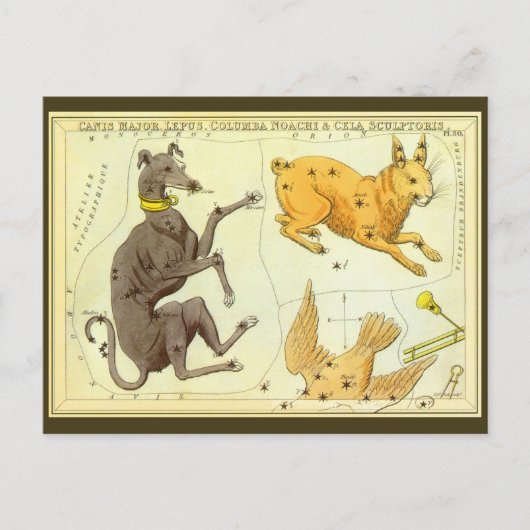 ヴィンテージ天文学，天球図 ポストカード (正面)