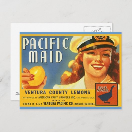 ヴィンテージ太平洋メイドレモン船乗りギャル郵便はがき ポストカード (正面/裏面)