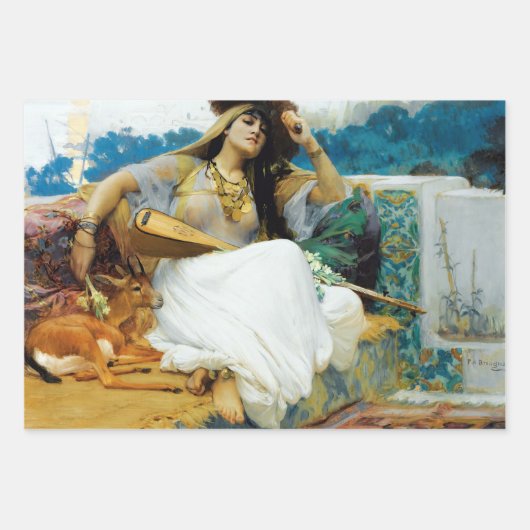 ヴィンテージ女エレガントの子のデコパージュ ラッピングペーパーシート (正面)