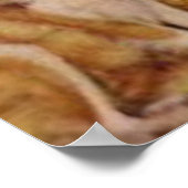 ヴィンテージ女性のカーボーイ ポスター (角)