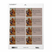 ヴィンテージ女性のカーボーイ ラベル (フルシート)