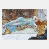 ヴィンテージ女性デカップラッピング紙 ラッピングペーパーシート (正面)