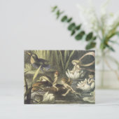 ヴィンテージ妖精の国ストーリーテラーはがき ポストカード (スタンド正面)