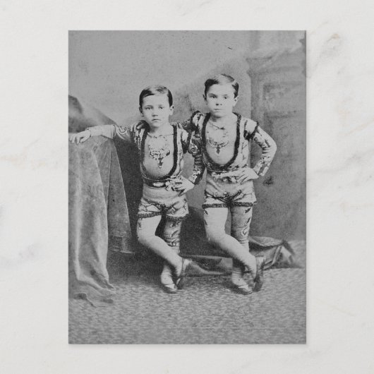 ヴィンテージ子はがき ポストカード (正面)