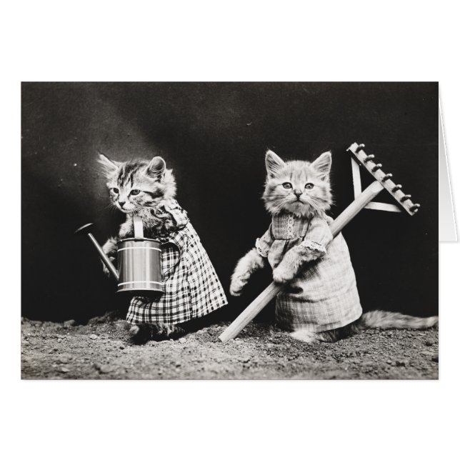 ヴィンテージ子犬と子猫のノートカード (正面横)