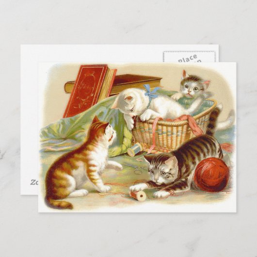 ヴィンテージ子猫はがき付きおもしろい ポストカード (正面/裏面)
