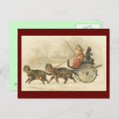 ヴィンテージ子猫コーチハガキ ポストカード (正面/裏面)