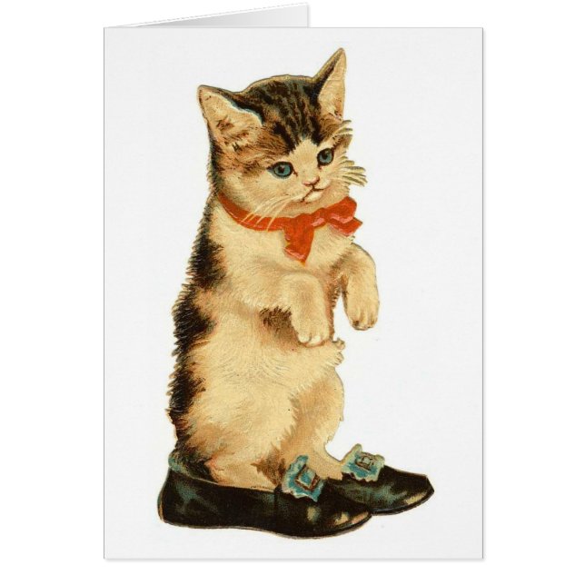 ヴィンテージ子猫 (正面)