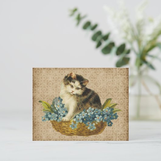 ヴィンテージ子猫 ポストカード (スタンド正面)