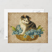 ヴィンテージ子猫 ポストカード (正面/裏面)