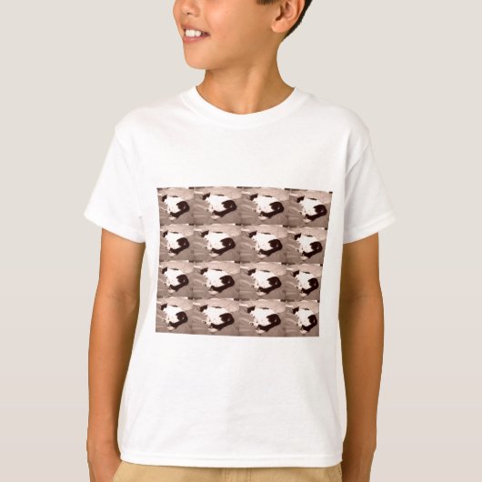ヴィンテージ子猫/モノクロ写真 Tシャツ (正面)