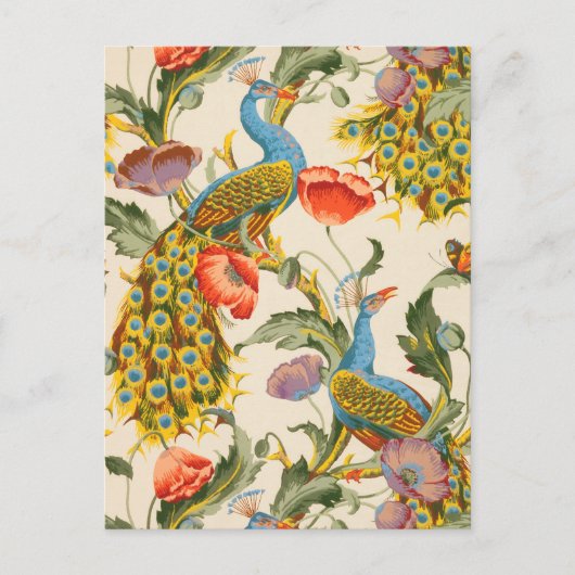 ヴィンテージ孔雀とケシのイラスト ポストカード (正面)