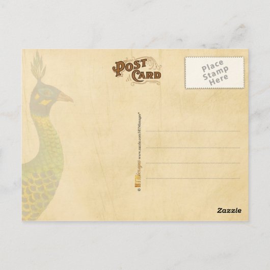 ヴィンテージ孔雀の手紙と切手&消印 ポストカード (裏面)