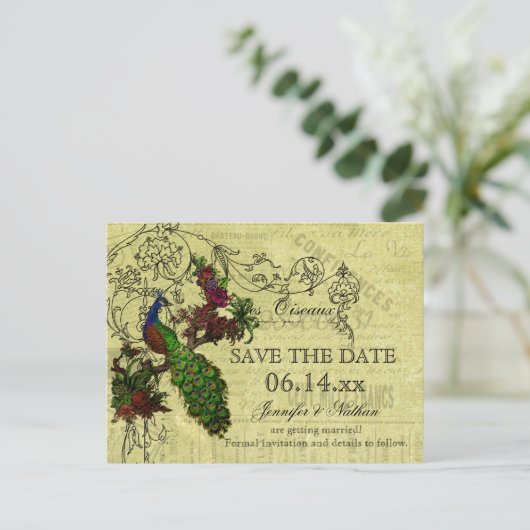 ヴィンテージ孔雀の日付はがきを保存 案内ポストカード (スタンド正面)