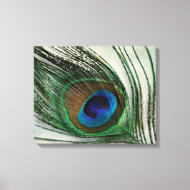 ヴィンテージ孔雀の羽 キャンバスプリント