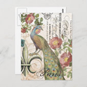 ヴィンテージ孔雀はがき ポストカード (正面/裏面)