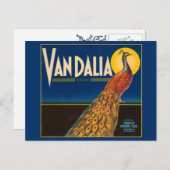 ヴィンテージ孔雀フルーツクレートラベル ポストカード (正面/裏面)