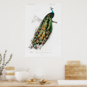 ヴィンテージ孔雀ポスター ポスター (キッチン)