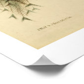 ヴィンテージ孔雀ポスター ポスター (角)