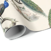 ヴィンテージ孔雀ラッピング紙 ラッピングペーパー (ロールコーナー)