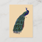ヴィンテージ孔雀披露宴挿入カード エンクロージャーカード (裏面)