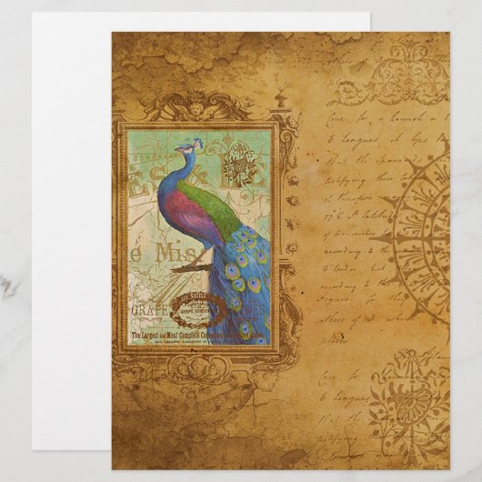 ヴィンテージ孔雀飾り (正面/裏面)