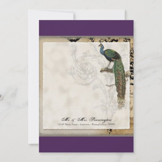 ヴィンテージ孔雀6 – サンキューフラットノートカード ノートカード (正面)