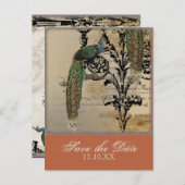 ヴィンテージ孔雀6 – 日付はがきを保存する 案内ポストカード (正面/裏面)