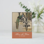 ヴィンテージ孔雀6 – 日付はがきを保存する 案内ポストカード (スタンド正面)