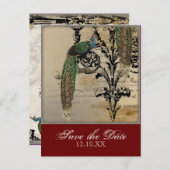 ヴィンテージ孔雀6 – 日付はがきを保存する 案内ポストカード (正面/裏面)