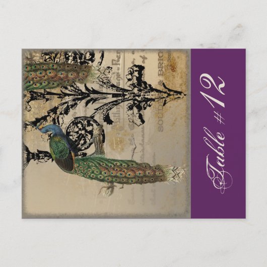 ヴィンテージ孔雀6、表番号カード ポストカード (正面)