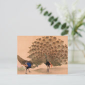 ヴィンテージ孔雀 ポストカード (スタンド正面)