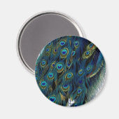 ヴィンテージ孔雀 マグネット (正面/裏面)
