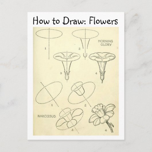 ヴィンテージ学の花引き方 ポストカード (正面)